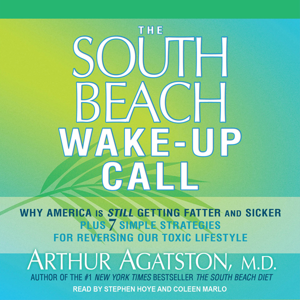 The South Beach Wake-Up Call: Why America Is Still Getting Fatter and Sicker, Plus 7 Simple Strategies for Reversing Our Toxic Lifestyle
