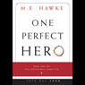 One Perfect Hero: Jesus and the Five-Dimensional Narrative