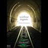 Without Regrets: A Study of Ecclesiastes
