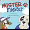 Mister Meister