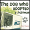 The Dog Who Adopted a Postman
