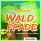 Geheimnisvolle Waldpfade. Entspannung fr Kinder