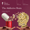 The Addictive Brain