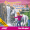 Magischer Sternenregen (Sternenschweif 13)