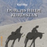 Durchs wilde Kurdistan