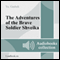 Pohozhdeniya bravogo soldata Shveyka [The Good Soldier Svejk and His Fortunes in the World War]