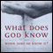 What Does God Know and When Does He Know It?: The Current Controversy over Divine Foreknowledge