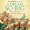 Dream So Big: Our Unlikely Journey to End the Tears of Hunger
