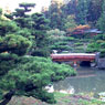 Arriving Where You Are: Jinshan Asks About Nature