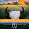 Native American Healing Meditations: Guided Practices to Invoke the Spirit of Healing