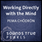 Working Directly with the Mind: How to Get to the Root of Suffering and Happiness