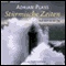 Strmische Zeiten audio book by Adrian Plass