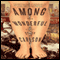 Among the Wonderful: A Novel (Unabridged) audio book by Stacy Carlson