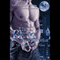 The Beta: The Vanguards, Book 3 (Unabridged) audio book by Annie Nicholas