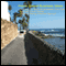 Home-Based Business Ideas: 10 Easy-to-Start Businesses You Can Operate From Home Without Being Internet Savvy (Unabridged) audio book by S. Williams