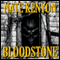Bloodstone (Unabridged) audio book by Nate Kenyon