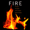 Fire: The Spark That Ignited Human Evolution (Unabridged) audio book by Frances D. Burton