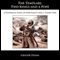 The Templars, Two Kings, and a Pope (Unabridged) audio book by Grigor Fedan