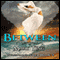 Between: Crossroads Saga (Unabridged) audio book by Mary Ting