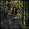 Beast of the Bells (Unabridged) audio book by T. K. Sheils