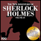 The New Adventures of Sherlock Holmes: The Golden Age of Old Time Radio Shows, Vol. 29 audio book by Arthur Conan Doyle