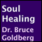 Soul Healing (Unabridged) audio book by Bruce Goldberg