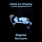 Callie on Display: A Public Gangbang Short (Unabridged) audio book by Regina Ransom