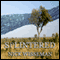 Splintered: A Short Story (Unabridged) audio book by Nick Wisseman