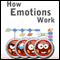 How Emotions Work: In Humans and Computers (Unabridged)