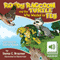 Rowdy Raccoon and the Turtle Who Wanted to Fly (Unabridged) audio book by Donna Braymer