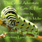 The Grand Adventure of Cate R. Pillar (Unabridged) audio book by Hazel S. Muller