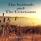 Should Christians Keep the Sabbath?: A Refutation of Seventh Day Adventism and the Hebrew Roots Movement (Unabridged) audio book by Chris White