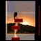 Clothing Optional: A Reluctant Group Sex at the Beach Short (Bouncing Beach Babes) (Unabridged) audio book by Julie Bosso