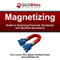 Magnetizing: Guide to Achieving Financial, Emotional, and Spiritual Abundance (Unabridged) audio book by Terri Levine Ph.D.