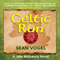 Celtic Run (Unabridged) audio book by Sean Vogel