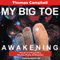 My Big TOE: Awakening (Unabridged) audio book by Thomas W . Campbell