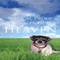 Biblical Proof Animals Do Go To Heaven (Unabridged) audio book by Steven H. Woodward