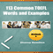 113 Common TOEFL Words and Examples: Workbook 3 (Unabridged) audio book by Zhanna Hamilton
