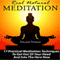 Real Natural Meditation: 17 Practical Meditation Techniques to Get Out of Your Head and into the Here Now (Unabridged) audio book by Vincent Vinturi