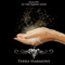 Air: Akasha Series, Book 2 (Unabridged) audio book by Terra Harmony