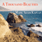 A Thousand Beauties (Unabridged) audio book by Mark Adam Kaplan