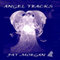 Angel Tracks (Unabridged) audio book by Pat Morgan