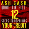 What the FICO: 12 Steps to Repairing Your Credit (Unabridged)