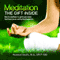 Meditation: The Gift Inside. How to Meditate to Quiet Your Mind, Find Inner Peace and Lasting Happiness (Letsdoyoga.com Wellness Series) audio book by Howard VanEs