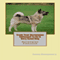 Train Your Norwegian Elkhound to be a Very Good Dog (Unabridged) audio book by Tammy A. Montgomery
