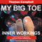 My Big TOE, Book 3: Inner Workings (Unabridged)