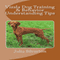 Vizsla Dog Training & Behavior Understanding Tips (Unabridged) audio book by Julia Silverton