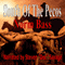 South of the Pecos (Unabridged) audio book by Norm Bass