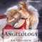 Angelology: An Overview (Unabridged) audio book by Marilynn Hughes