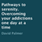 Pathways to Serenity: Overcoming Your Addictions One Day at a Time (Unabridged) audio book by David Palmer